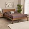 Baxton Studio Eileen Mid-Century Transitional Walnut Brown Finished Wood Queen Size Platform Bed 232-13242-ZORO - alternate 9